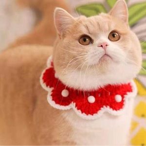 Handmade crochet pet collar with Regular price $9.99